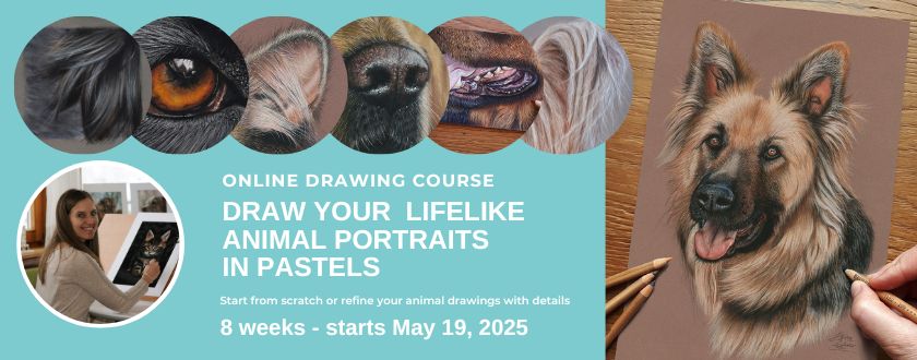 Drawing Course Cover pictures new (3)