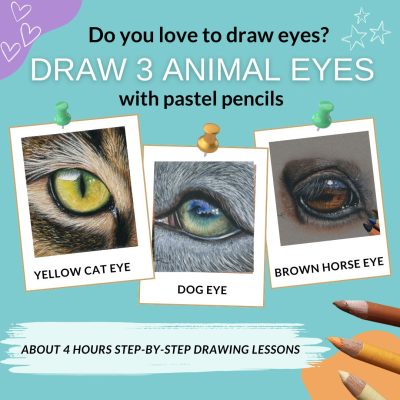 SP PicturesDRAW 3 ANIMAL EYES (18)